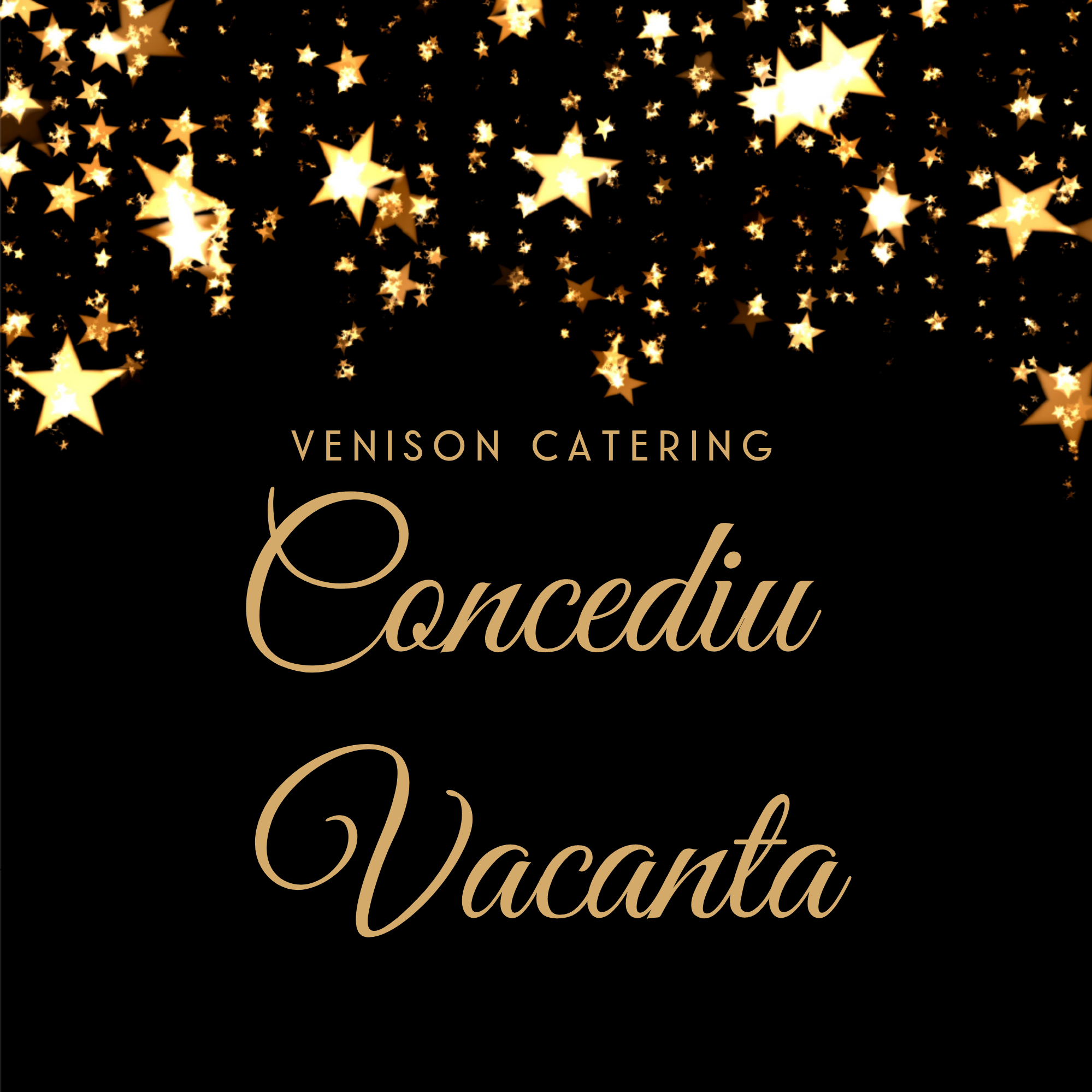 Catering Brasov | Venison Catering Brasov | Restaurant Brasov